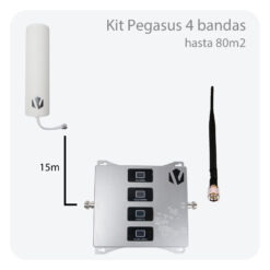 pegasus-4b-kit1